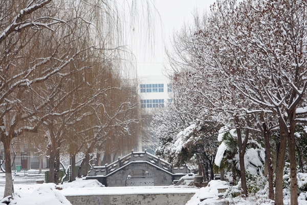 校園雪景